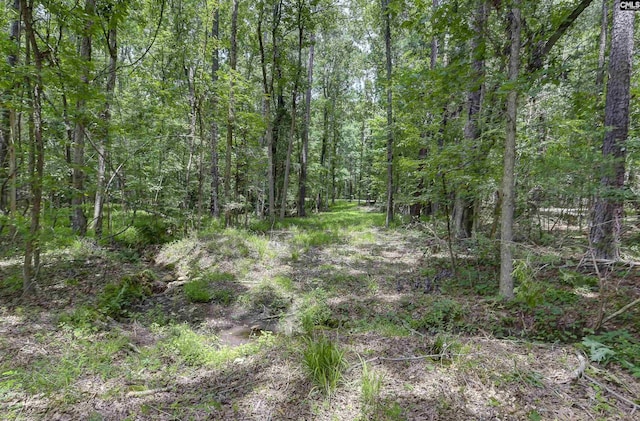 1208 Peacehaven Rd, Chapin, SC 29036 - view of woods