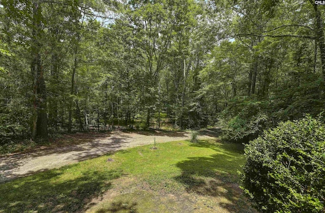 1208 Peacehaven Rd, Chapin, SC 29036 - view of grassy yard with a wooded view