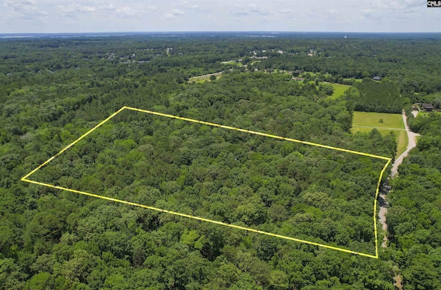1208 Peacehaven Rd, Chapin, SC 29036 - aerial view of property and surrounding area featuring property parcel outlined