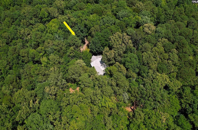 1208 Peacehaven Rd, Chapin, SC 29036 - aerial view of property and surrounding area with a heavily wooded area