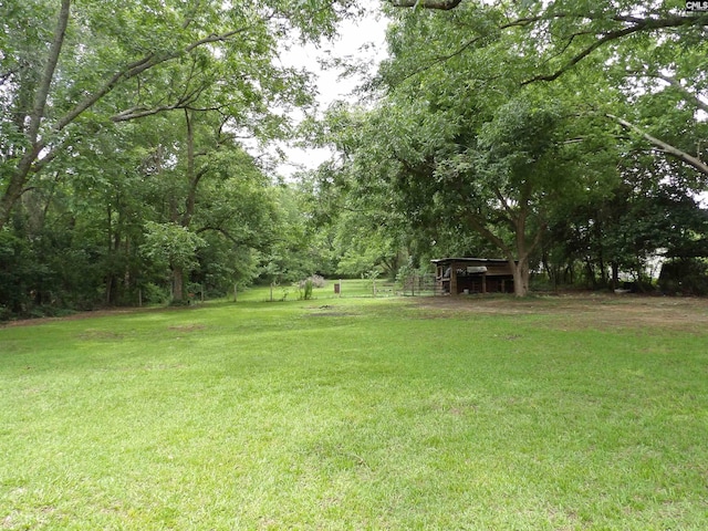 1016 Willis St, Batesburg, SC 29006 - view of yard