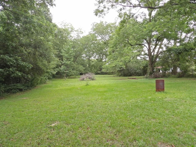 1016 Willis St, Batesburg, SC 29006 - view of grassy yard