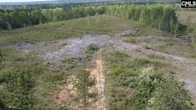 TBD Peake Rd Unit 9, Elgin, SC 29045