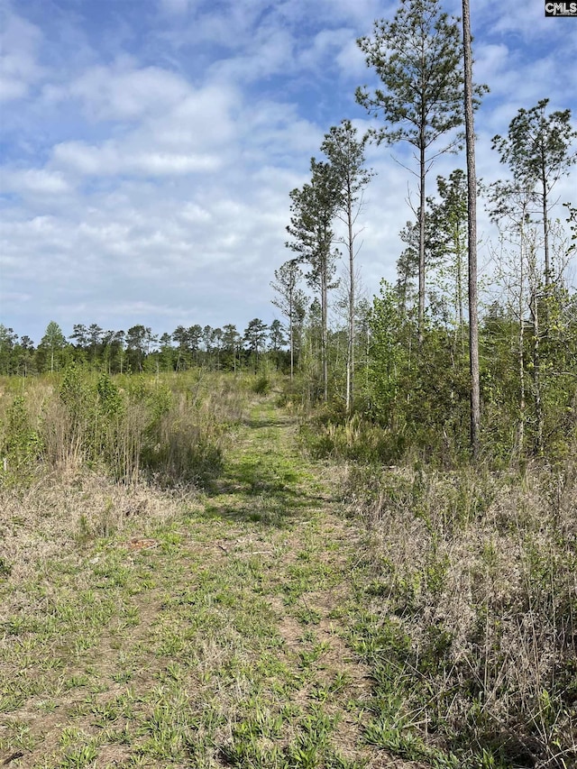 TBD Peake Rd Unit 9, Elgin, SC 29045