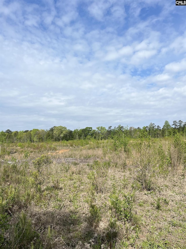 TBD Peake Rd Unit 9, Elgin, SC 29045