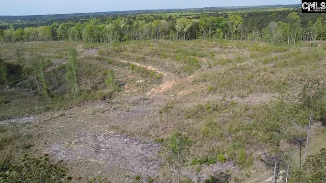 TBD Peake Rd Unit 9, Elgin, SC 29045