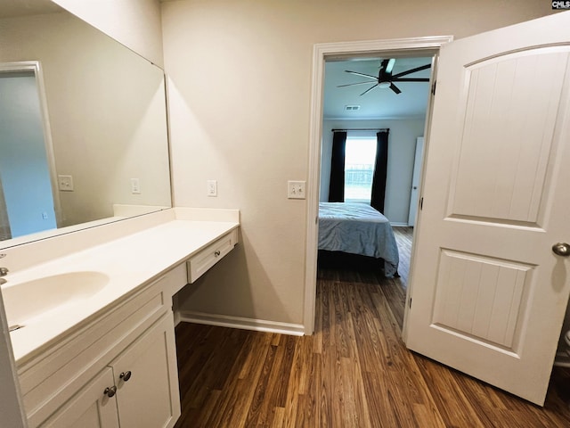 1406 Native Garden Rd, Gilbert, SC 29054 - bathroom with wood finished floors, vanity, and connected bathroom
