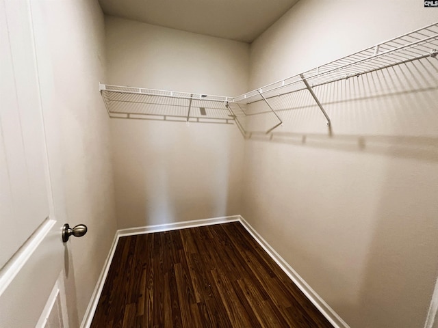 1406 Native Garden Rd, Gilbert, SC 29054 - walk in closet featuring dark wood finished floors