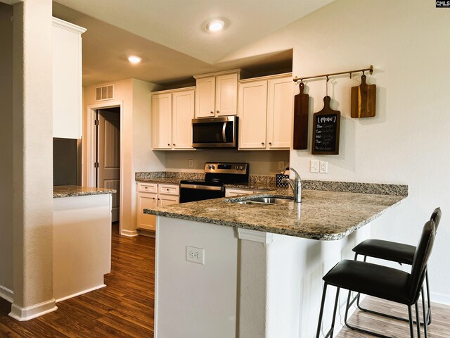 1406 Native Garden Rd, Gilbert, SC 29054 - kitchen featuring appliances with stainless steel finishes, a peninsula, dark wood-type flooring, a kitchen bar, and light stone counters