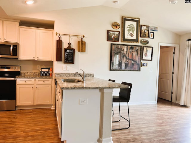 1406 Native Garden Rd, Gilbert, SC 29054 - kitchen with appliances with stainless steel finishes, light wood finished floors, a breakfast bar area, a peninsula, and lofted ceiling