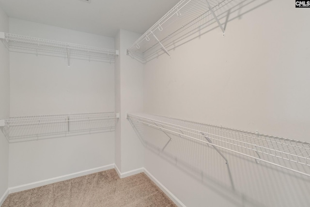 508 Esaw Dr, Elgin, SC 29045 - walk in closet featuring carpet