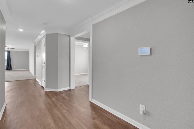 239 Common Reed Dr, Gilbert, SC 29054 - corridor featuring ornamental molding and wood finished floors