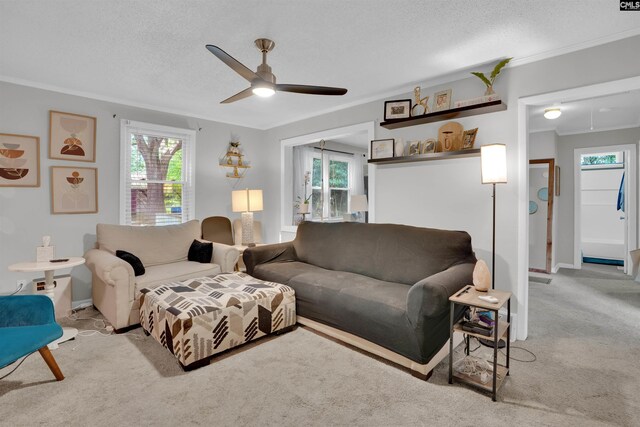 1715 Lacy St, Columbia, SC 29169 - carpeted living room featuring plenty of natural light, ceiling fan, a textured ceiling, and crown molding