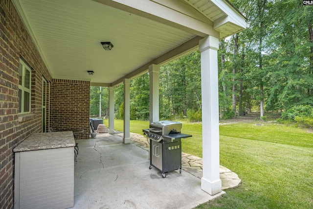 699 Village Market Dr, Chapin, SC 29036 - view of patio / terrace with area for grilling