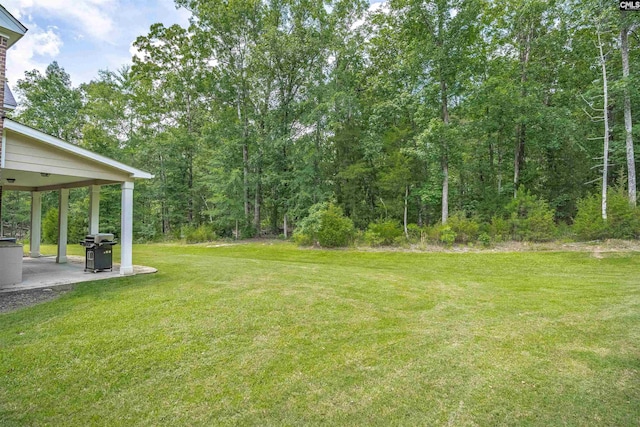 699 Village Market Dr, Chapin, SC 29036 - view of green lawn with a patio
