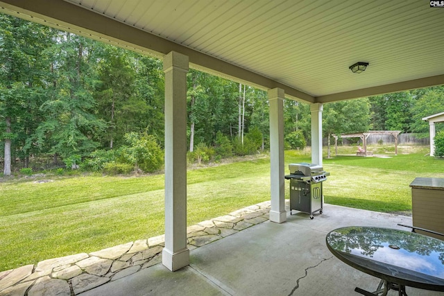 699 Village Market Dr, Chapin, SC 29036 - view of patio with area for grilling
