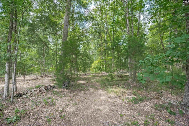 699 Village Market Dr, Chapin, SC 29036 - view of tree filled area