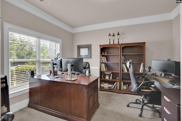 699 Village Market Dr, Chapin, SC 29036 - office space with ornamental molding, light colored carpet, and healthy amount of natural light