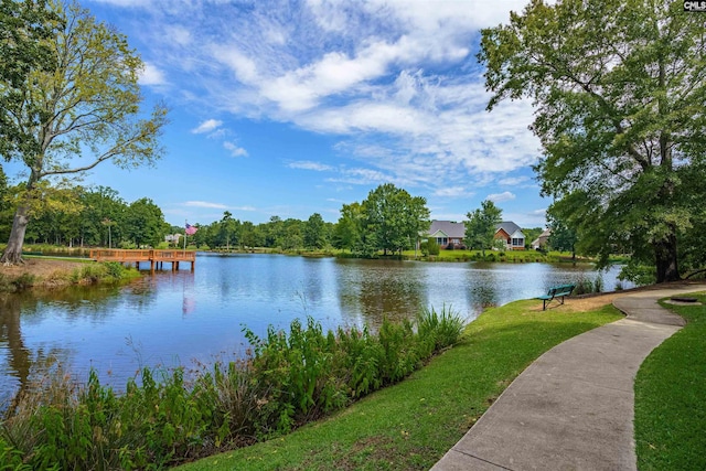699 Village Market Dr, Chapin, SC 29036 - water view