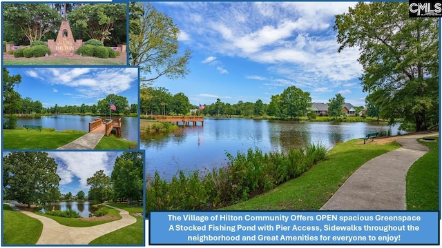 699 Village Market Dr, Chapin, SC 29036 - view of a document with multiple images
