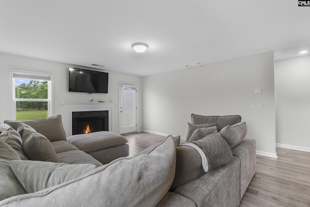 465 Vanburen Ct, Gaston, SC 29053 - living area featuring a warm lit fireplace and light wood-style flooring