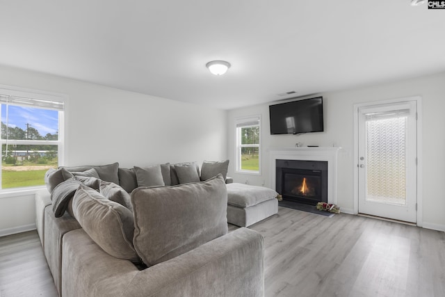 465 Vanburen Ct, Gaston, SC 29053 - living area with light wood-style flooring and a glass covered fireplace