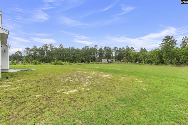 465 Vanburen Ct, Gaston, SC 29053 - view of green lawn