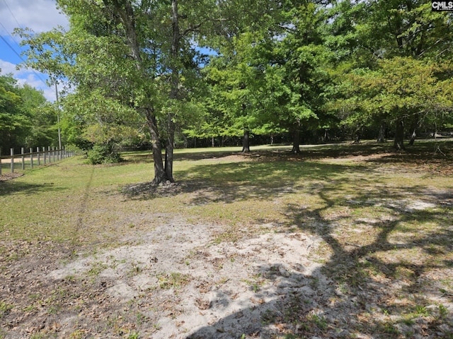 360 Twisting Rd, Lexington, SC 29072 - view of yard