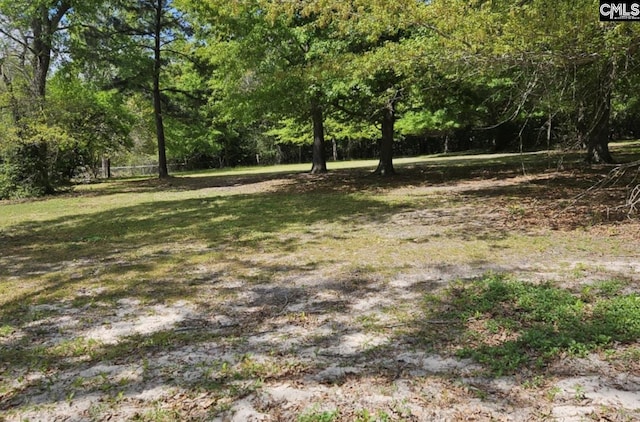 360 Twisting Rd, Lexington, SC 29072 - view of yard