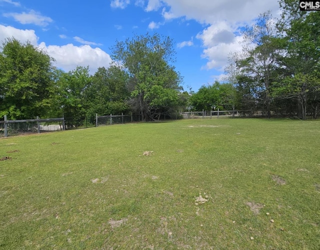 360 Twisting Rd, Lexington, SC 29072 - view of yard