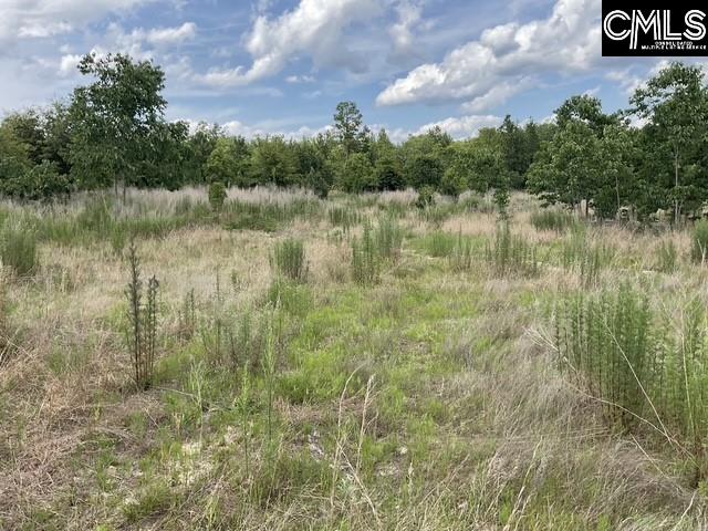 4515 Catawba Rd, Kershaw, SC 29067