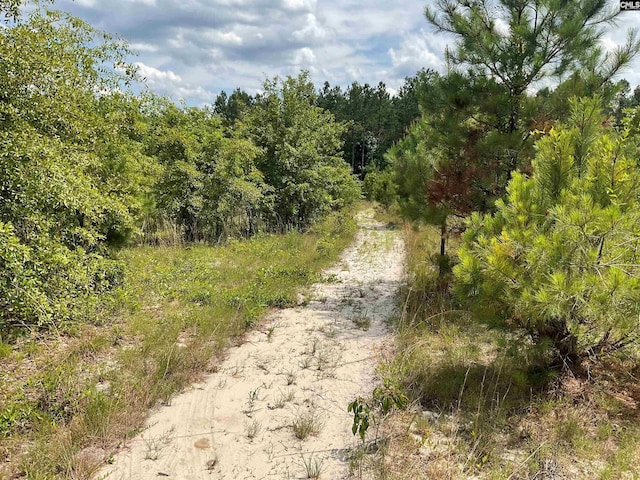 4515 Catawba Rd, Kershaw, SC 29067