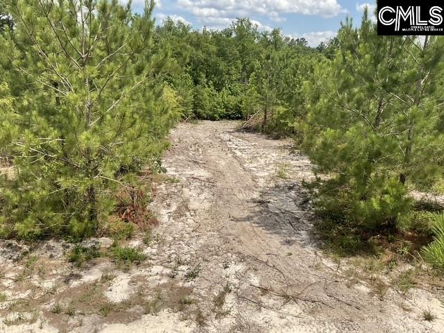 4515 Catawba Rd, Kershaw, SC 29067