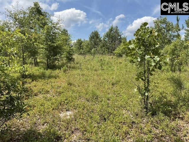 4515 Catawba Rd, Kershaw, SC 29067