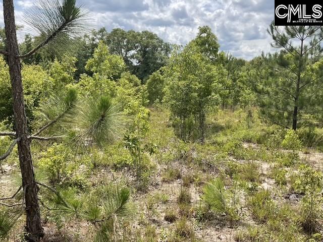 4515 Catawba Rd, Kershaw, SC 29067