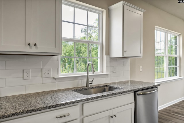 259 Backspin Dr, Elgin, SC 29045 - kitchen with dishwasher and healthy amount of natural light