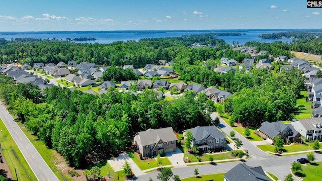 2340 Hadley Xing, Chapin, SC 29036 - aerial view of residential area with a nearby body of water
