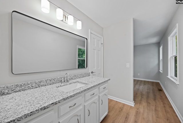 100 Coventry Ct, Lexington, SC 29072 - bathroom with wood finished floors and vanity