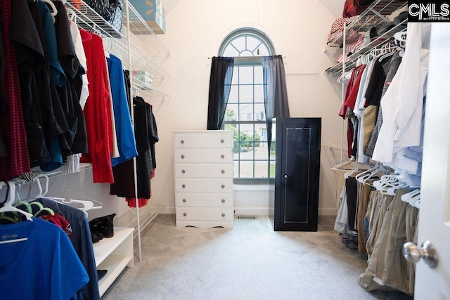 108 Warden Way, Irmo, SC 29063 - walk in closet featuring carpet floors