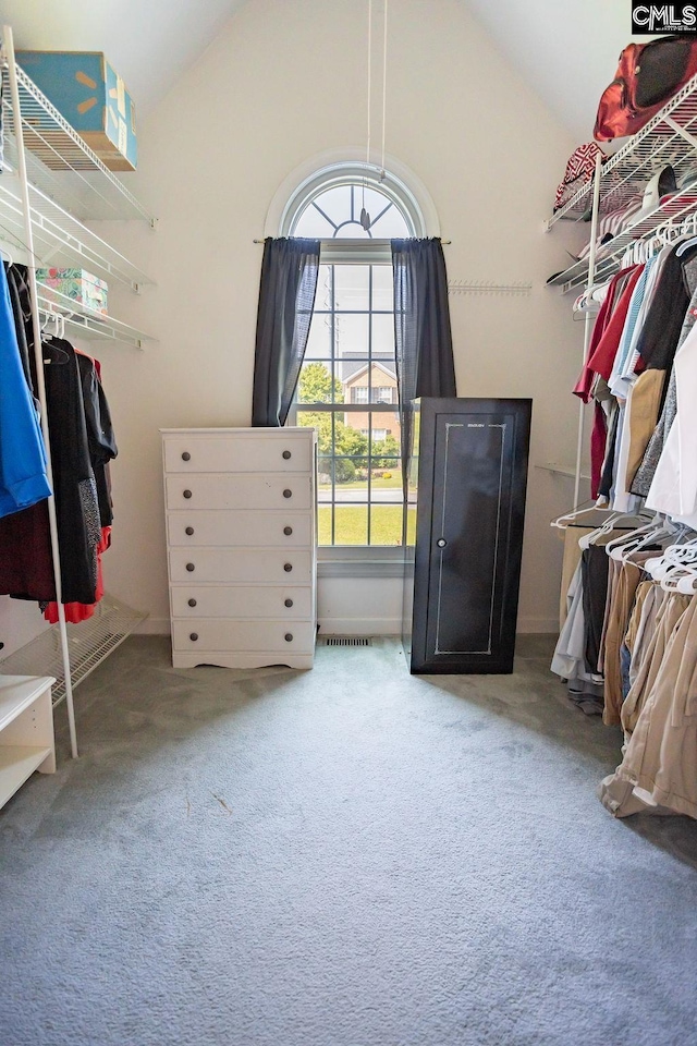 108 Warden Way, Irmo, SC 29063 - walk in closet with vaulted ceiling and carpet