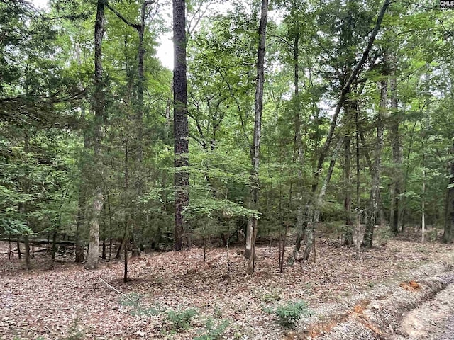 NX173 Annie Adkins Rd, Irmo, SC 29063