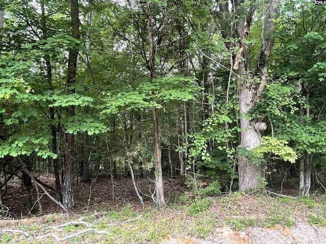 NX173 Annie Adkins Rd, Irmo, SC 29063