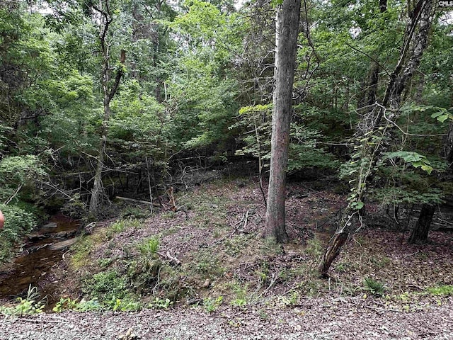 NX173 Annie Adkins Rd, Irmo, SC 29063