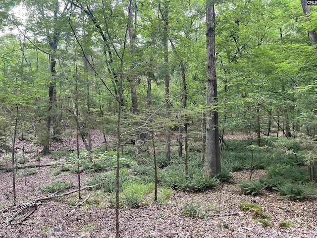 NX173 Annie Adkins Rd, Irmo, SC 29063