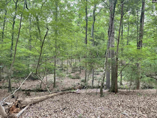NX173 Annie Adkins Rd, Irmo, SC 29063