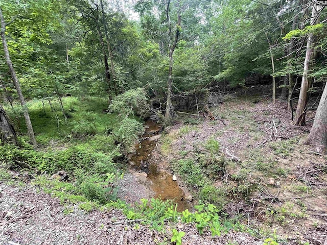 NX173 Annie Adkins Rd, Irmo, SC 29063