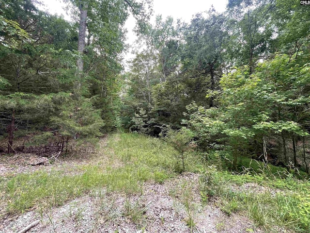 NX173 Annie Adkins Rd, Irmo, SC 29063
