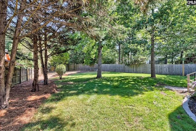 305 W Ashford Way, Irmo, SC 29063 - view of fenced backyard