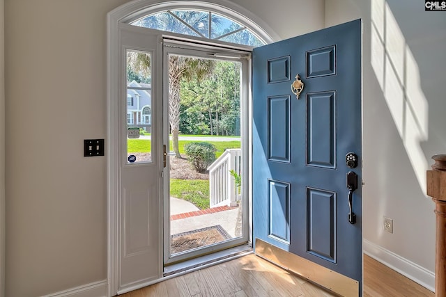 305 W Ashford Way, Irmo, SC 29063 - entryway with light wood-style flooring and plenty of natural light