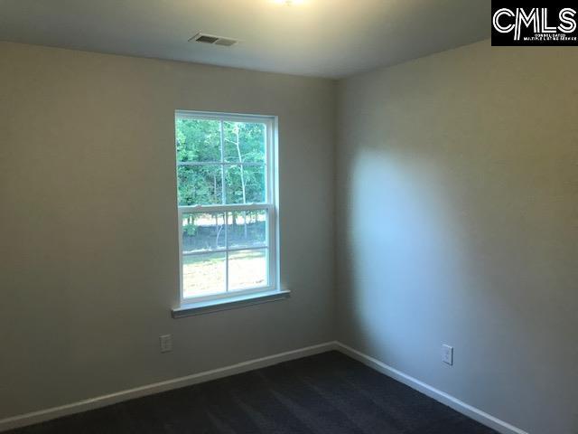 1351 Tamarind Ln, Chapin, SC 29036 - unfurnished room with healthy amount of natural light and dark colored carpet